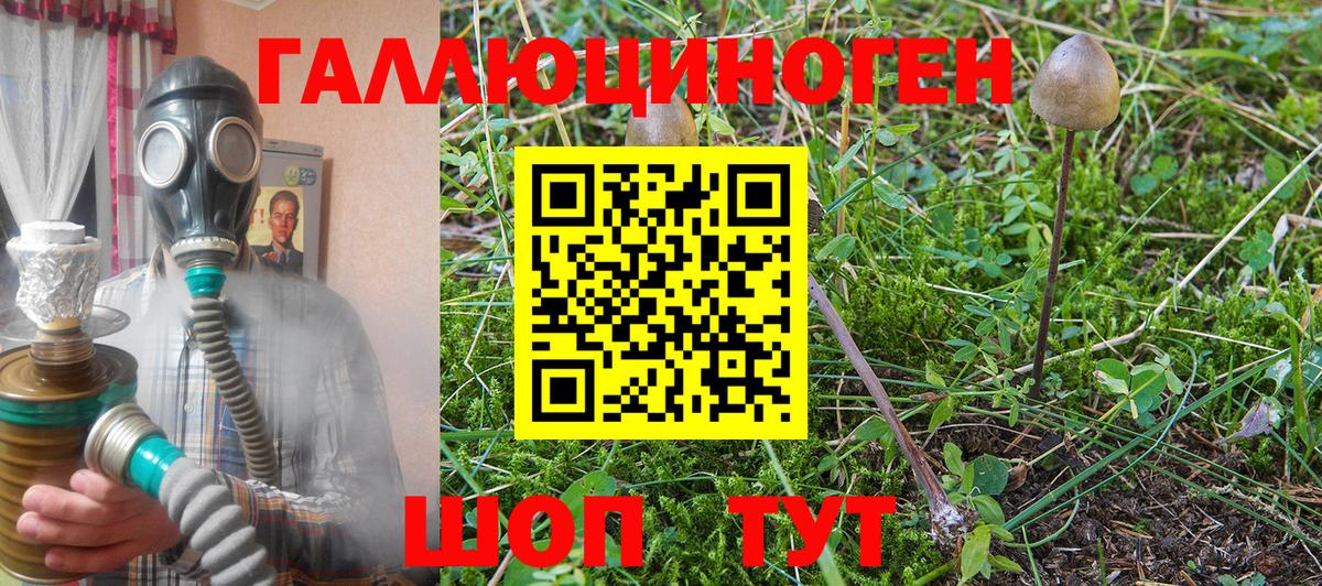 Галлюциногенные грибы Magic Shrooms Черняховск