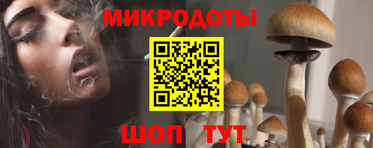 Черняховск  Галлюциногенные грибы MAGIC MUSHROOMS  даркнет сайт  Вход с VPN 